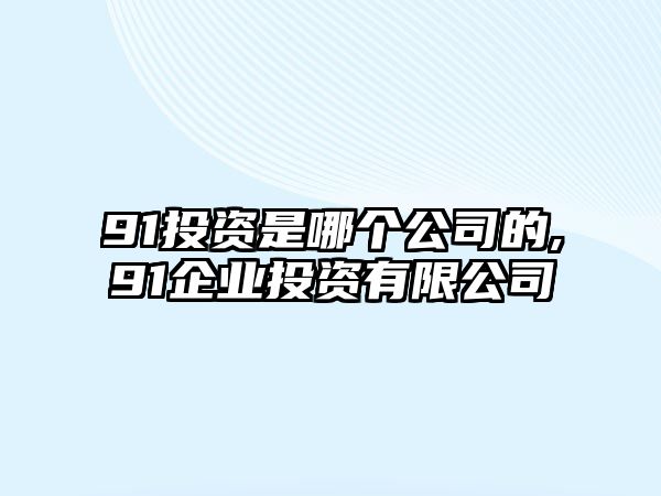 91投資是哪個(gè)公司的,91企業(yè)投資有限公司