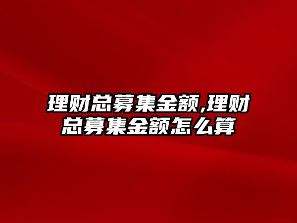 理財總募集金額,理財總募集金額怎么算