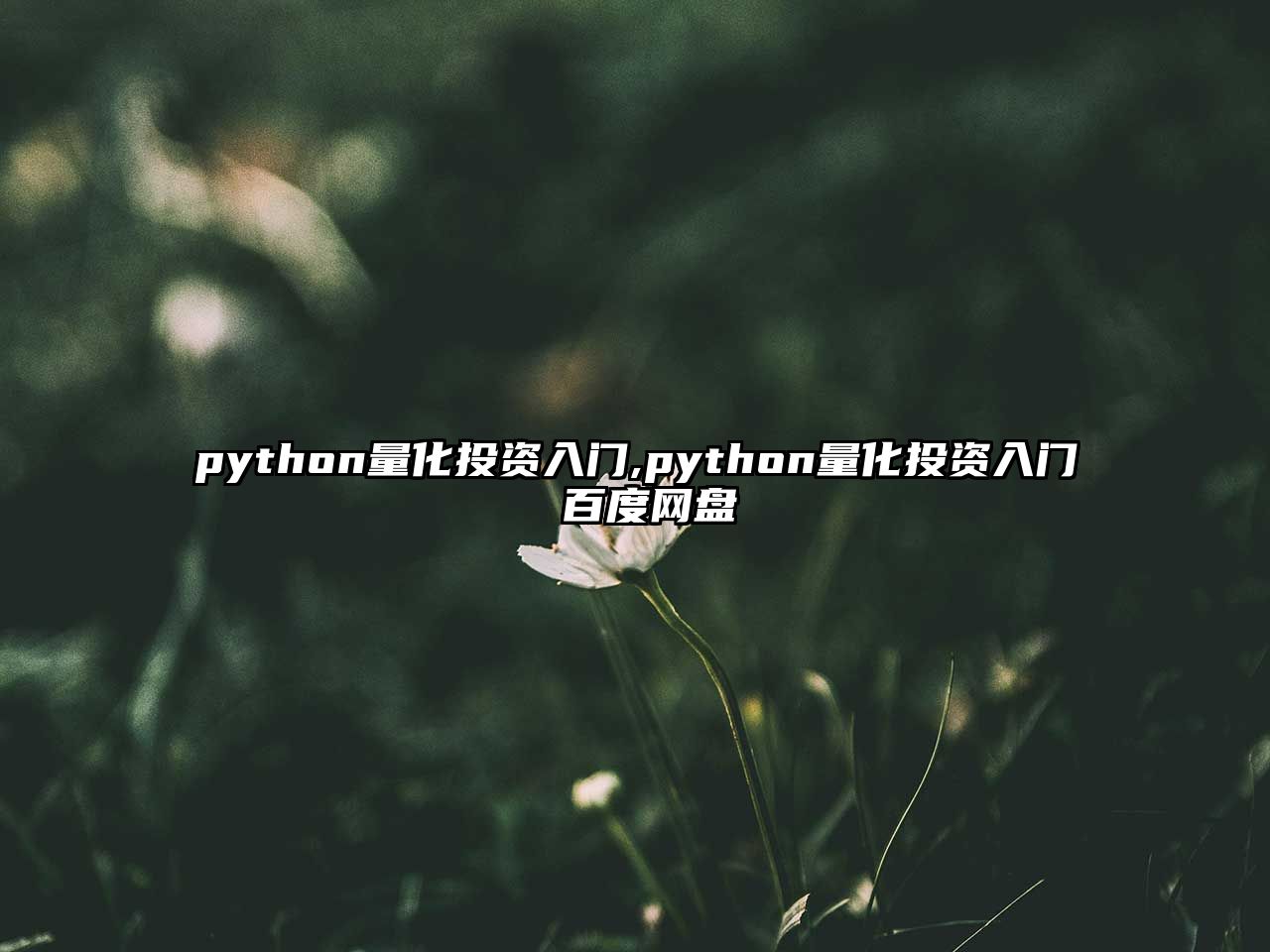 python量化投資入門,python量化投資入門 百度網(wǎng)盤