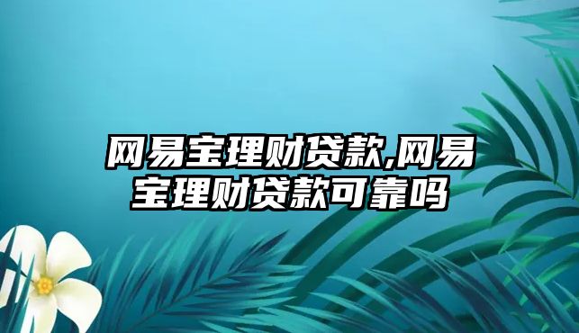 網(wǎng)易寶理財貸款,網(wǎng)易寶理財貸款可靠嗎