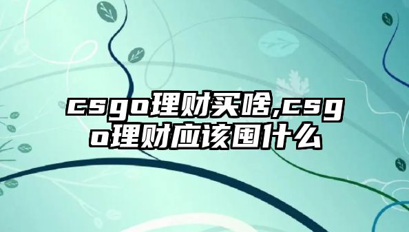 csgo理財(cái)買啥,csgo理財(cái)應(yīng)該囤什么