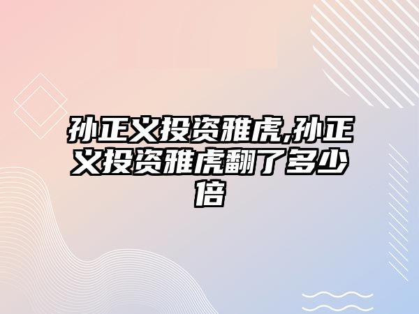 孫正義投資雅虎,孫正義投資雅虎翻了多少倍