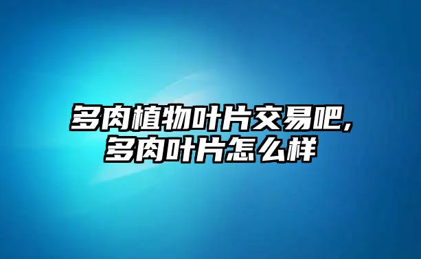 多肉植物葉片交易吧,多肉葉片怎么樣