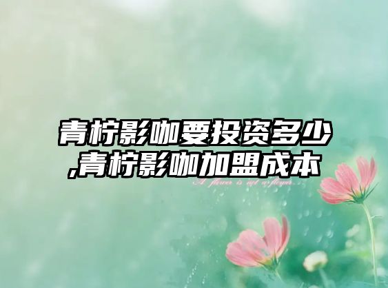 青檸影咖要投資多少,青檸影咖加盟成本