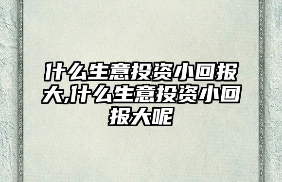 什么生意投資小回報大,什么生意投資小回報大呢