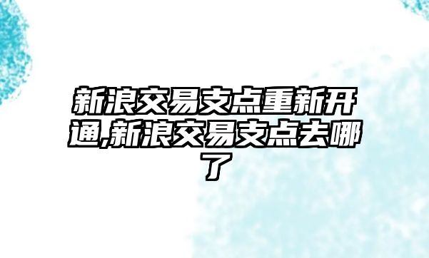 新浪交易支點重新開通,新浪交易支點去哪了