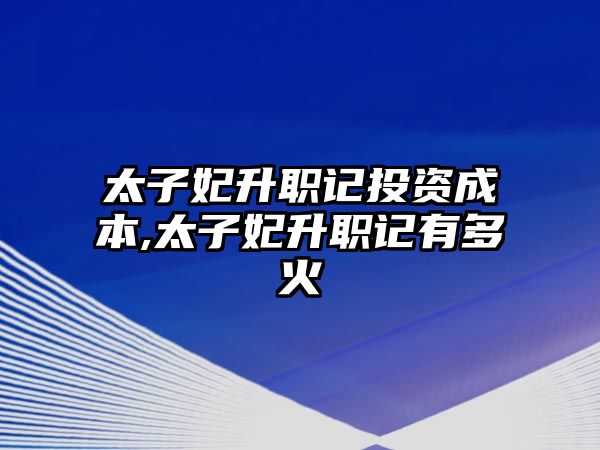 太子妃升職記投資成本,太子妃升職記有多火