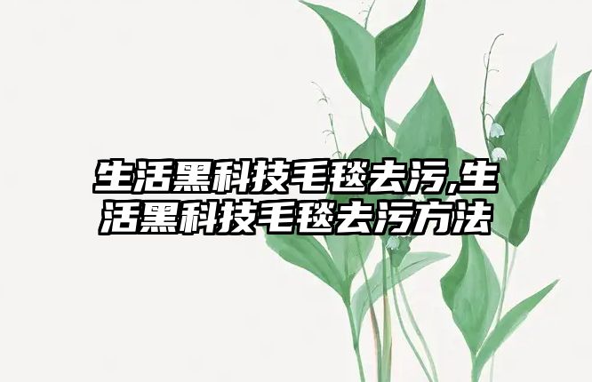 生活黑科技毛毯去污,生活黑科技毛毯去污方法