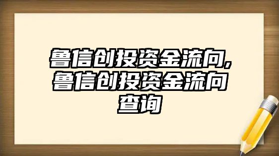 魯信創(chuàng)投資金流向,魯信創(chuàng)投資金流向查詢