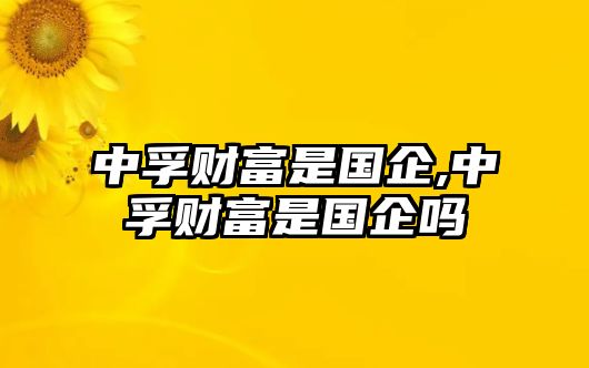 中孚財(cái)富是國企,中孚財(cái)富是國企嗎