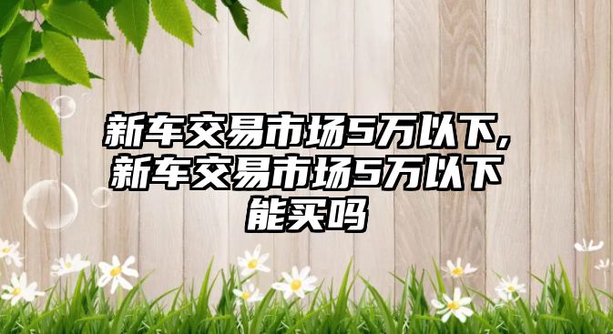 新車交易市場5萬以下,新車交易市場5萬以下能買嗎