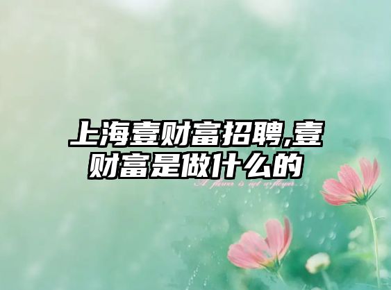 上海壹財富招聘,壹財富是做什么的