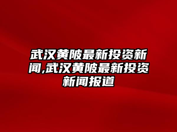 武漢黃陂最新投資新聞,武漢黃陂最新投資新聞報(bào)道