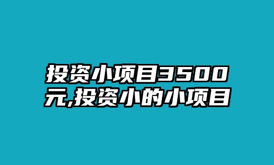 投資小項(xiàng)目3500元,投資小的小項(xiàng)目