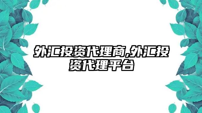 外匯投資代理商,外匯投資代理平臺