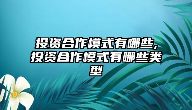 投資合作模式有哪些,投資合作模式有哪些類型