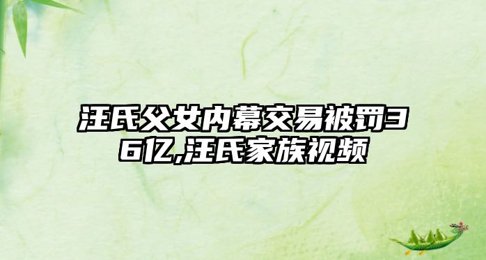 汪氏父女內(nèi)幕交易被罰36億,汪氏家族視頻