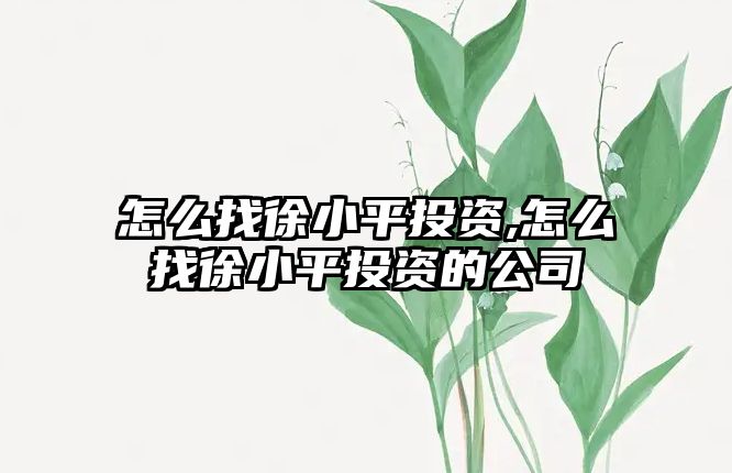 怎么找徐小平投資,怎么找徐小平投資的公司