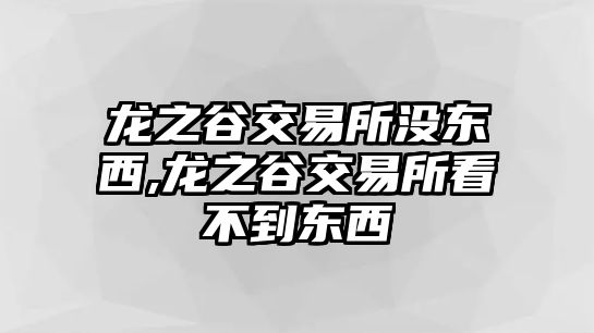 龍之谷交易所沒東西,龍之谷交易所看不到東西