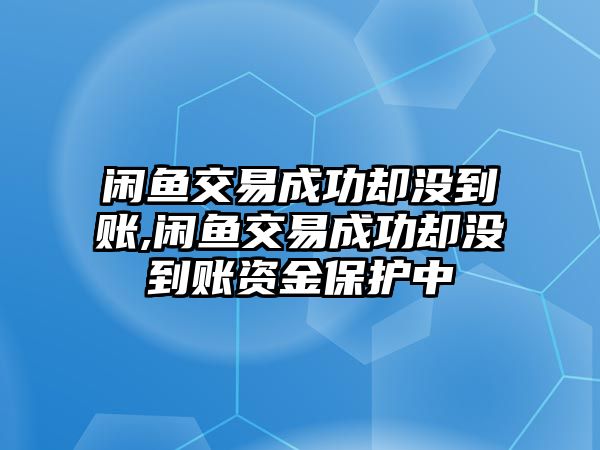 閑魚交易成功卻沒到賬,閑魚交易成功卻沒到賬資金保護(hù)中