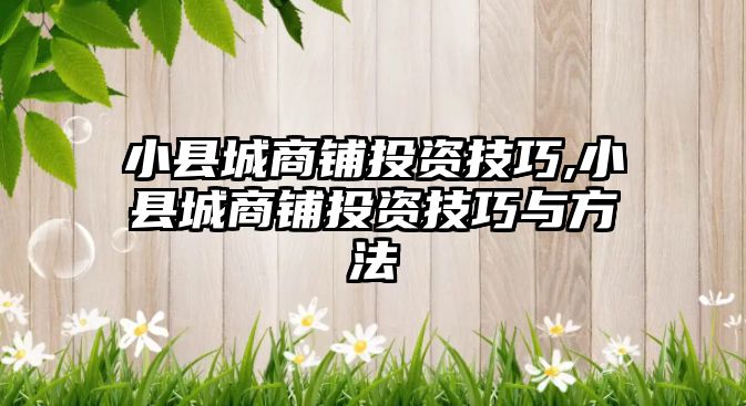 小縣城商鋪投資技巧,小縣城商鋪投資技巧與方法