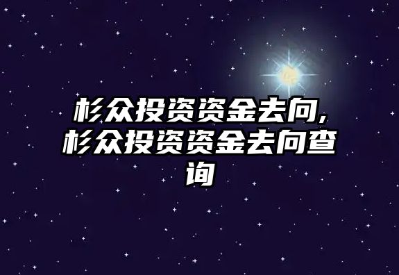 杉眾投資資金去向,杉眾投資資金去向查詢