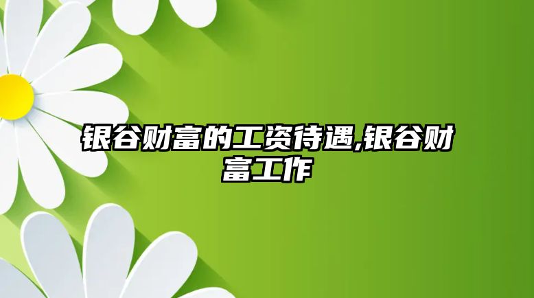 銀谷財富的工資待遇,銀谷財富工作