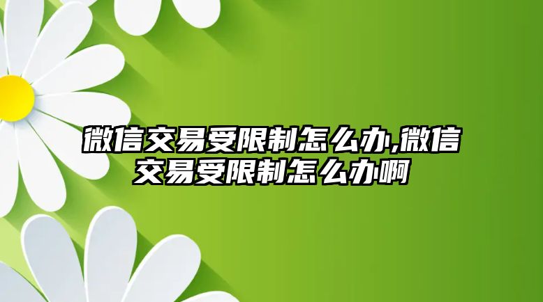 微信交易受限制怎么辦,微信交易受限制怎么辦啊