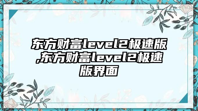 東方財富level2極速版,東方財富level2極速版界面