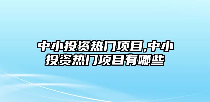 中小投資熱門項(xiàng)目,中小投資熱門項(xiàng)目有哪些